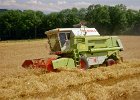 Claas Drescher 02